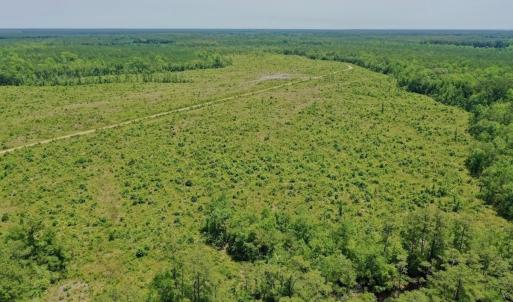 Photo #42 of Off Highway 306, Grantsboro, NC 704.0 acres