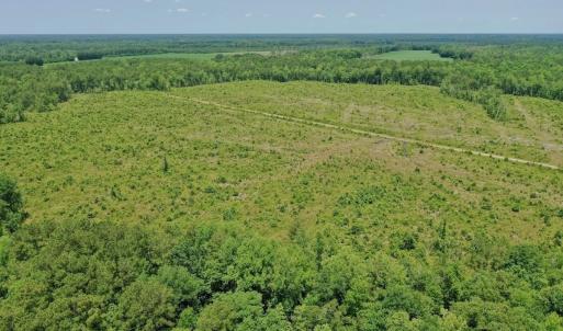 Photo #43 of Off Highway 306, Grantsboro, NC 704.0 acres