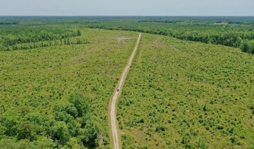 Photo #44 of Off Highway 306, Grantsboro, NC 704.0 acres