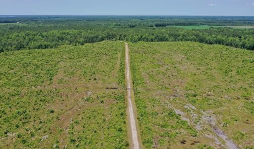 Photo #45 of Off Highway 306, Grantsboro, NC 704.0 acres