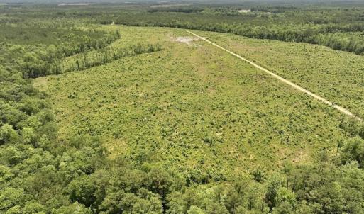 Photo #46 of Off Highway 306, Grantsboro, NC 704.0 acres