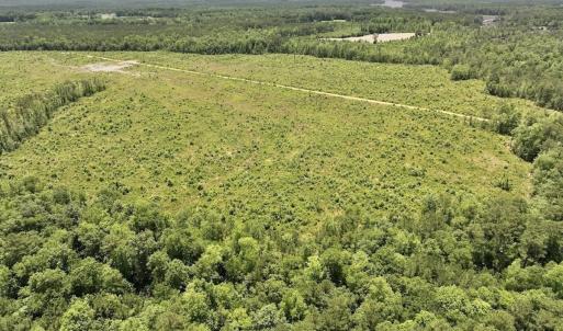 Photo #47 of Off Highway 306, Grantsboro, NC 704.0 acres