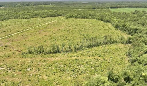 Photo #48 of Off Highway 306, Grantsboro, NC 704.0 acres