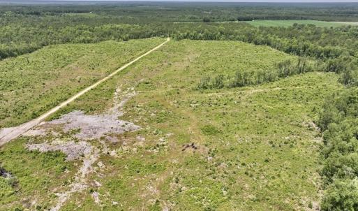 Photo #49 of Off Highway 306, Grantsboro, NC 704.0 acres
