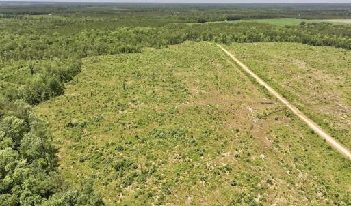 Photo #50 of Off Highway 306, Grantsboro, NC 704.0 acres