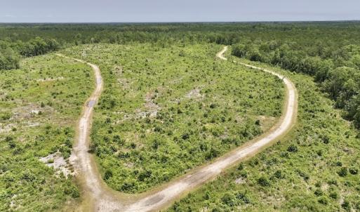 Photo #51 of Off Highway 306, Grantsboro, NC 704.0 acres