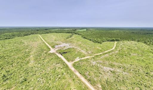 Photo #52 of Off Highway 306, Grantsboro, NC 704.0 acres