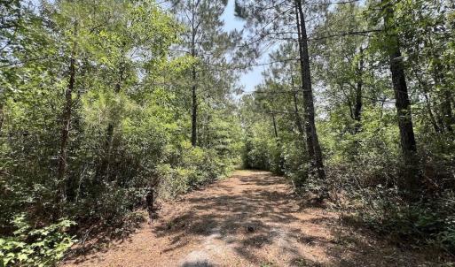 Photo #56 of Off Highway 306, Grantsboro, NC 704.0 acres