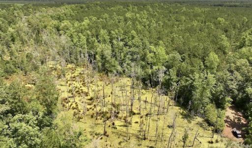 Photo #58 of Off Highway 306, Grantsboro, NC 704.0 acres