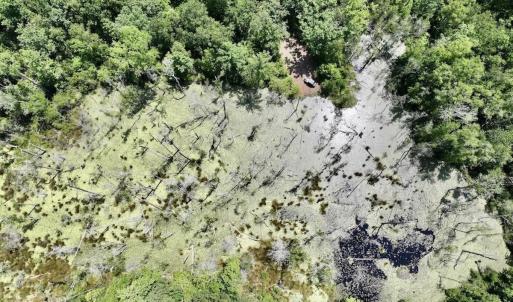 Photo #59 of Off Highway 306, Grantsboro, NC 704.0 acres