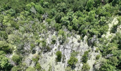 Photo #60 of Off Highway 306, Grantsboro, NC 704.0 acres
