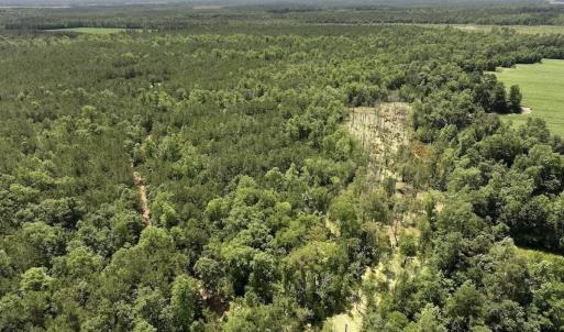 Photo #61 of Off Highway 306, Grantsboro, NC 704.0 acres