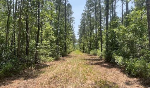 Photo #63 of Off Highway 306, Grantsboro, NC 704.0 acres