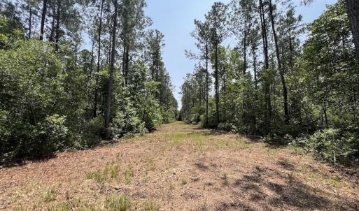 Photo #64 of Off Highway 306, Grantsboro, NC 704.0 acres