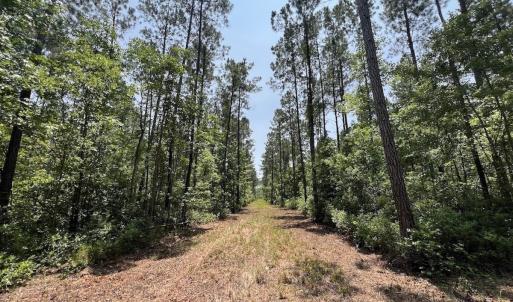 Photo #65 of Off Highway 306, Grantsboro, NC 704.0 acres