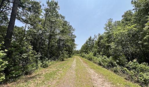 Photo #66 of Off Highway 306, Grantsboro, NC 704.0 acres