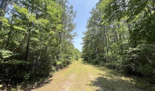 Photo #67 of Off Highway 306, Grantsboro, NC 704.0 acres