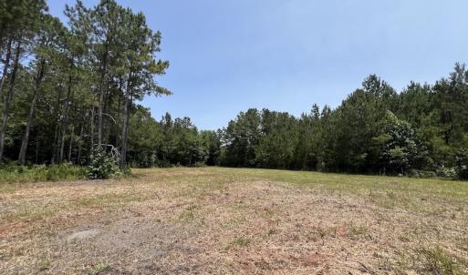 Photo #68 of Off Highway 306, Grantsboro, NC 704.0 acres