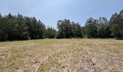 Photo #69 of Off Highway 306, Grantsboro, NC 704.0 acres