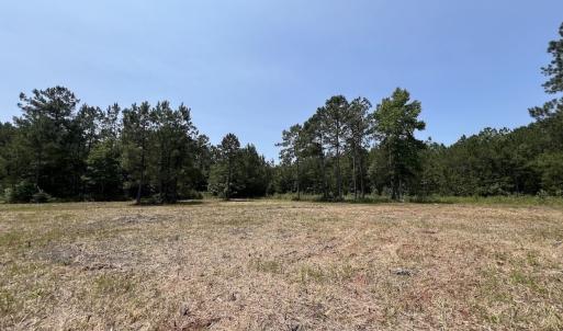 Photo #70 of Off Highway 306, Grantsboro, NC 704.0 acres