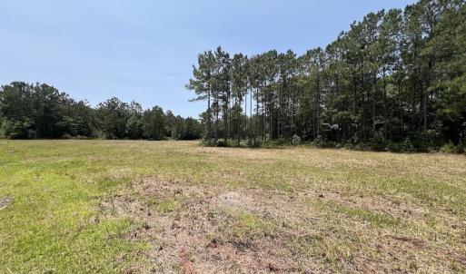Photo #71 of Off Highway 306, Grantsboro, NC 704.0 acres
