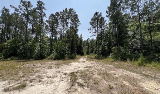 Photo #72 of Off Highway 306, Grantsboro, NC 704.0 acres