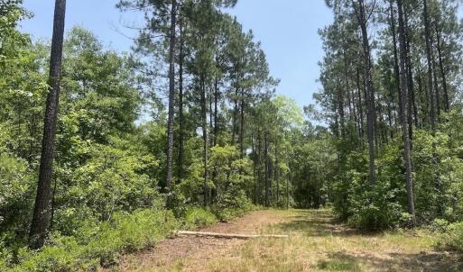 Photo #73 of Off Highway 306, Grantsboro, NC 704.0 acres