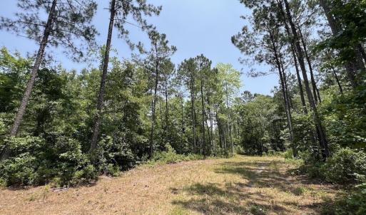 Photo #74 of Off Highway 306, Grantsboro, NC 704.0 acres