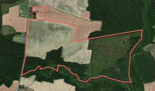 Photo #2 of Off Middle Swamp Rd, Corapeake, NC 234.4 acres