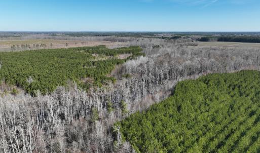 Photo #3 of Off Middle Swamp Rd, Corapeake, NC 234.4 acres