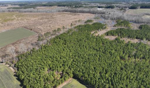 Photo #4 of Off Middle Swamp Rd, Corapeake, NC 234.4 acres