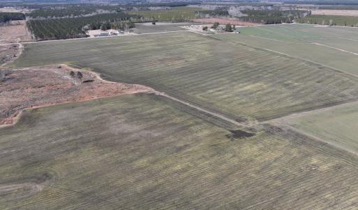 Photo #5 of Off Middle Swamp Rd, Corapeake, NC 234.4 acres