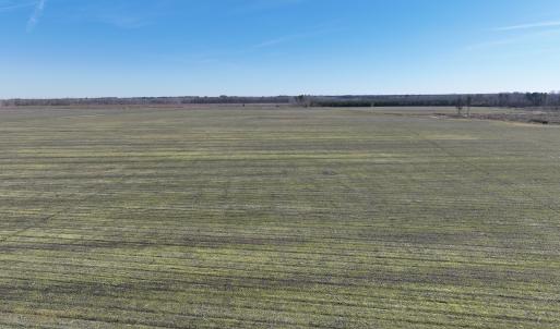 Photo #10 of Off Middle Swamp Rd, Corapeake, NC 234.4 acres