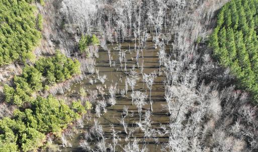 Photo #17 of Off Middle Swamp Rd, Corapeake, NC 234.4 acres