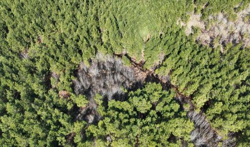 Photo #18 of Off Middle Swamp Rd, Corapeake, NC 234.4 acres