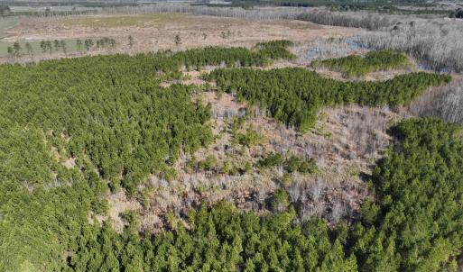 Photo #19 of Off Middle Swamp Rd, Corapeake, NC 234.4 acres