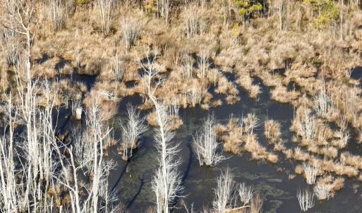 Photo #22 of Off Middle Swamp Rd, Corapeake, NC 234.4 acres