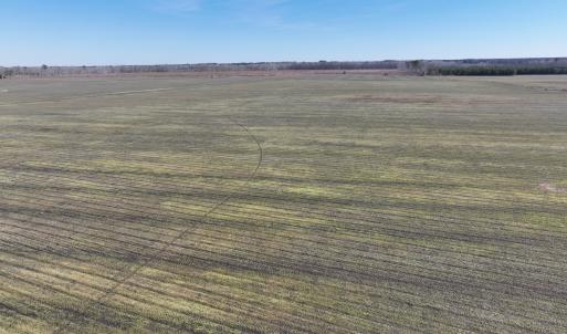 Photo #25 of Off Middle Swamp Rd, Corapeake, NC 234.4 acres
