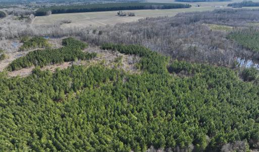 Photo #26 of Off Middle Swamp Rd, Corapeake, NC 234.4 acres