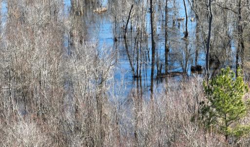 Photo #13 of Off Middle Swamp Rd, Corapeake, NC 234.4 acres