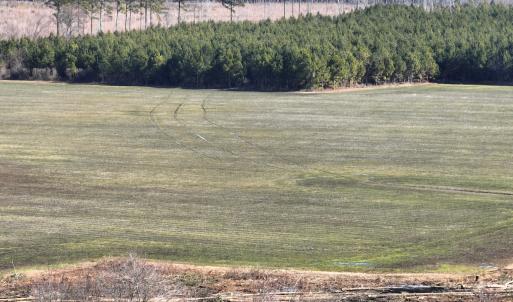 Photo #14 of Off Middle Swamp Rd, Corapeake, NC 234.4 acres