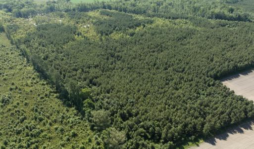Photo #37 of Off Middle Swamp Rd, Corapeake, NC 234.4 acres