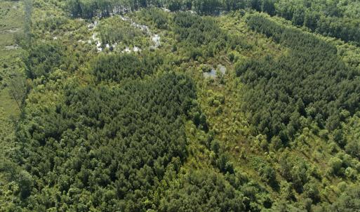 Photo #38 of Off Middle Swamp Rd, Corapeake, NC 234.4 acres