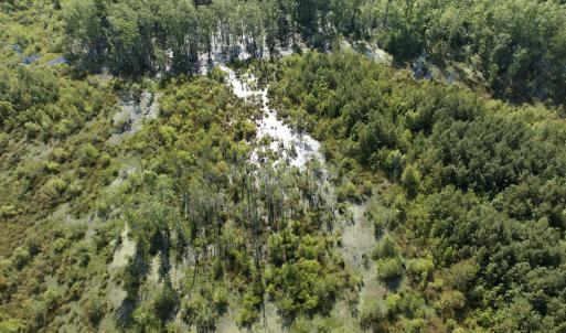 Photo #39 of Off Middle Swamp Rd, Corapeake, NC 234.4 acres