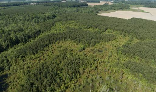 Photo #40 of Off Middle Swamp Rd, Corapeake, NC 234.4 acres