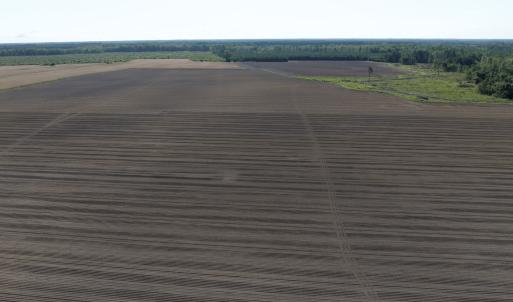 Photo #29 of Off Middle Swamp Rd, Corapeake, NC 234.4 acres