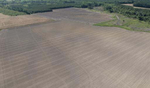 Photo #32 of Off Middle Swamp Rd, Corapeake, NC 234.4 acres