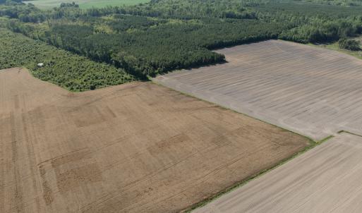 Photo #34 of Off Middle Swamp Rd, Corapeake, NC 234.4 acres