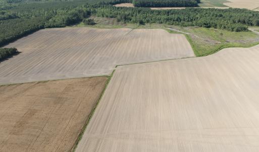Photo #36 of Off Middle Swamp Rd, Corapeake, NC 234.4 acres