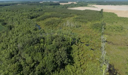 Photo #41 of Off Middle Swamp Rd, Corapeake, NC 234.4 acres